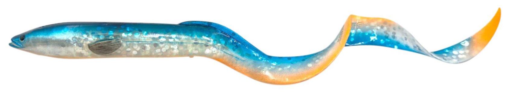 Blue Fegis Eel